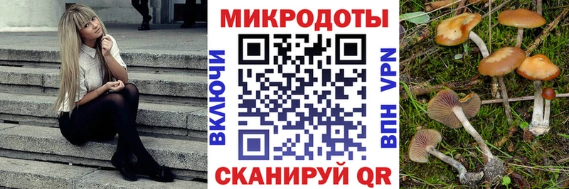Псилоцибиновые грибы MAGIC MUSHROOMS Усолье